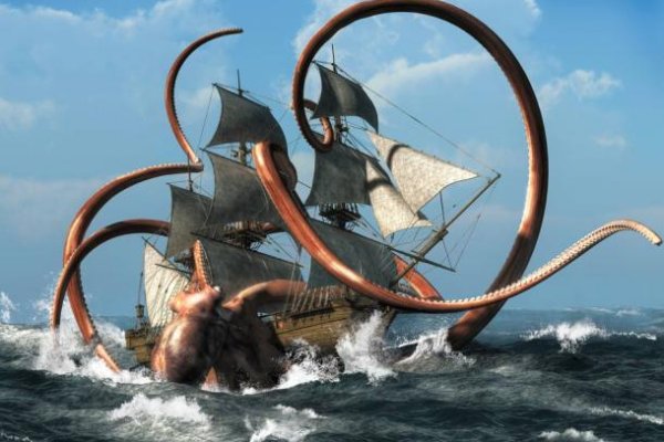 Как вывести деньги с kraken