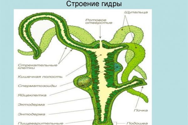 Кракен наркотики в оренбурге