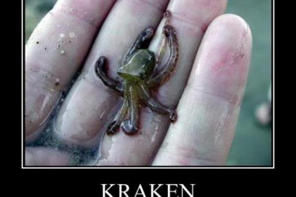 Зеркало кракен дарк