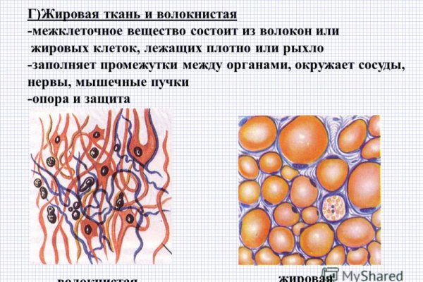 Какая сейчас ссылка на кракен